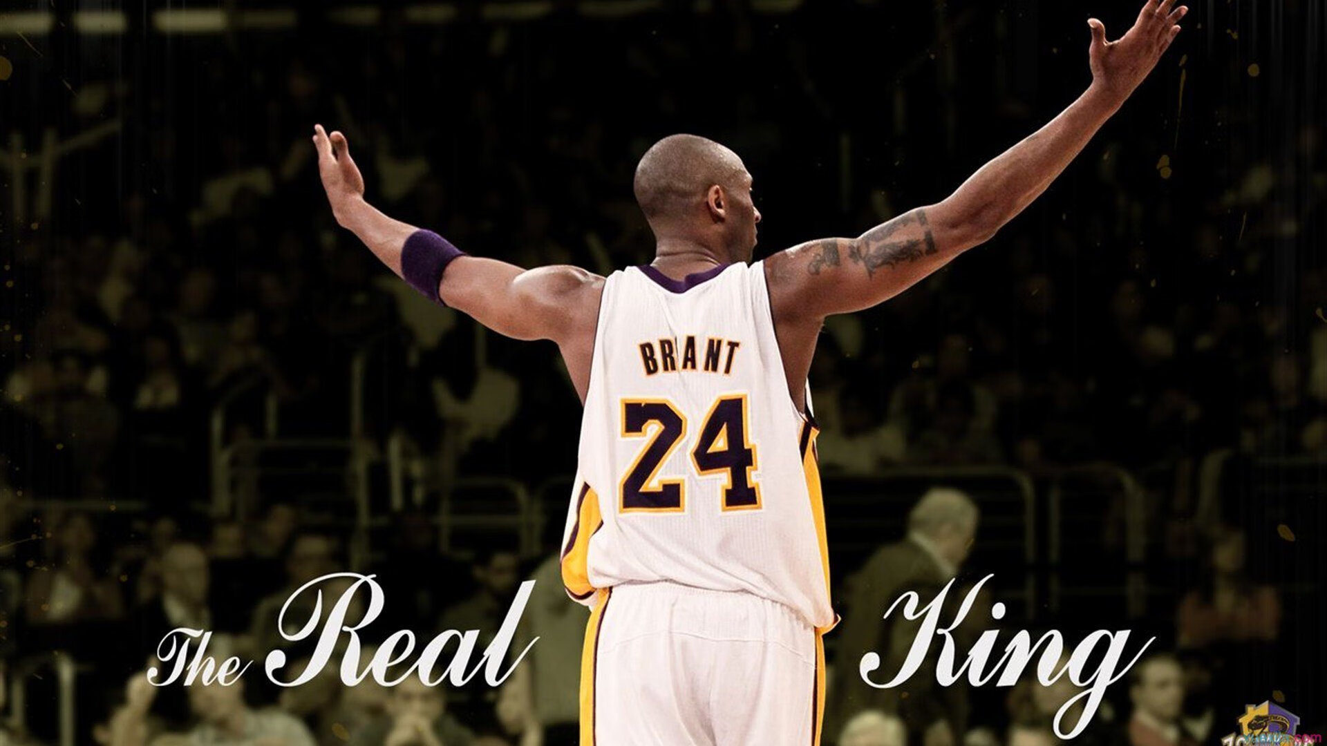 传奇谢幕!足球巨星李明举行盛大退役仪式,数万球迷含泪送别