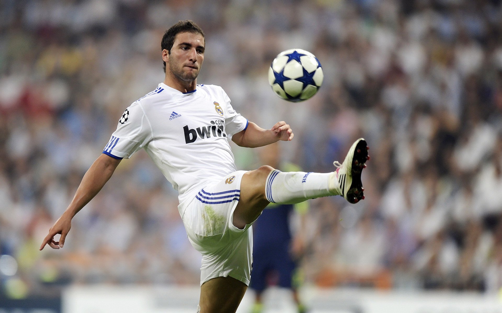 德约科维奇逆转取胜 第24座大满贯冠军近在咫尺